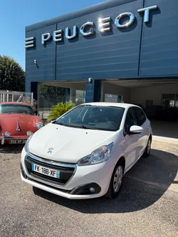 Peueot 208 1,5 bluehdi 100 business