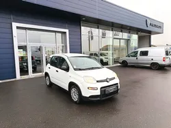 Fiat Panda 1.0 70 cv BSG City