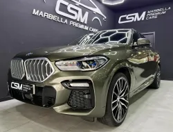 BMW X6 xDrive 30dA (9.75)
