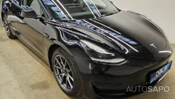 Tesla Model 3 Standard Range Plus RWD de 2021