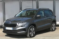 Skoda KAROQ 2.0 TDI 116CH SCR BUSINESS DSG7