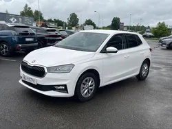 SKODA FABIA 1.0 tsi evo2 95 selection