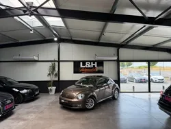 Volkswagen bettle 1.6 tdi 105 cv dsg7