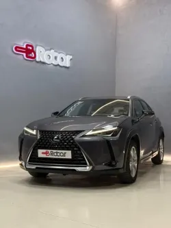 Lexus UX 250h Business 2WD