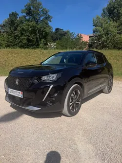 Peugeot 2008 1,5 110 cv
