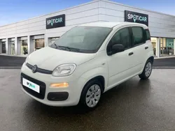 Fiat Panda 1.2 8v 69ch S&S Pop 2019 Euro6D