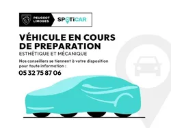 Peugeot 2008 1.5 BlueHDi 130ch S&S Roadtrip EAT8 / NAVIGATION + CAMERA + ACCES MAIN LIBRE