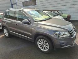 Volkswagen Tiguan 2.0 TDI 150 4Motion CARAT BM6