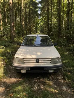 Peugeot 309 GRD 1.9L de 1992
