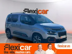 CITROEN Berlingo BlueHDi S&S Talla M Shine 100