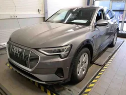 Audi e-tron advanced