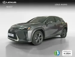 LEXUS UX 300h UX+