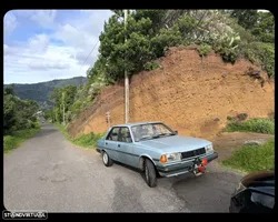 Peugeot 305