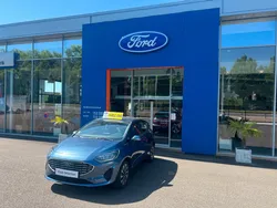 FORD Fiesta Flexifuel 95 cv Titanium Business 5p
