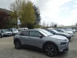 C4 cactus bluehdi 100 feel business