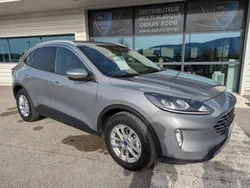 FORD KUGA 2.0 EcoBlue - 190 - BVA i-AWD III Titanium