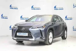 LEXUS UX 250h Business 4WD