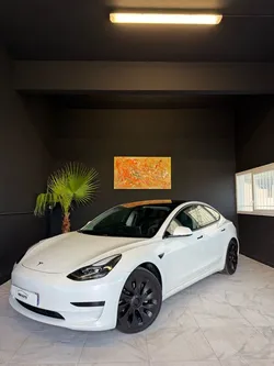 Tesla model 3 standard range plus SR+
