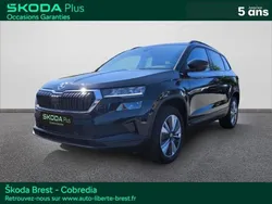 Skoda Karoq 1.0 TSI 110ch Business
