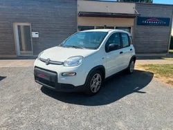 FIAT PANDA 1L Hybrid 70ch *SUIVI, CLIM MANUELLE