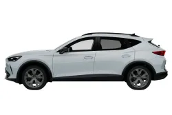 CUPRA Formentor 1.4 e-Hybrid 205 DSG