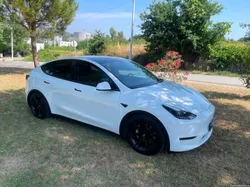Tesla Model Y Long Range Dual Motor AWD