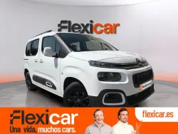 CITROEN Berlingo BlueHDi S&S Talla M Feel 100