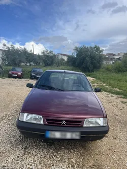 Citroën ZX 1360G