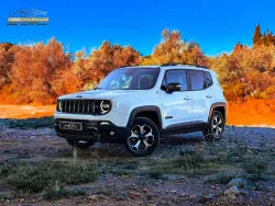 Jeep Renegade 2.0Mjt Trailhawk 4x4 ADLow Aut. 125kW
