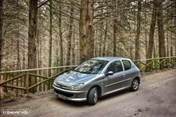 Peugeot 206 1.4 Quick Silver