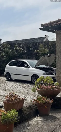 Seat Ibiza 6l
