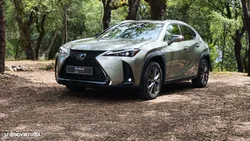 Lexus ux-250h Sport