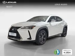LEXUS UX 250h Business 4WD