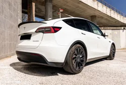 Tesla Model Y Performance Dual Motor AWD