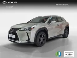 LEXUS UX 250h Business 4WD