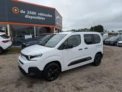 CITROEN BERLINGO 1.5 BlueHDi S&S - 130 CH - BV EAT8 - M - Max - N1