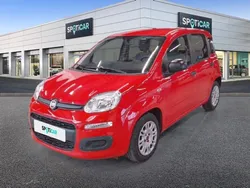 Fiat Panda MY21 1.0 70 ch Hybride BSG S/S