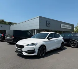 Cupra Leon 2.0 TDi 150 cv DSG7 V / 60600 klm - 2023 - 1°Main