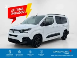 Citroen Berlingo Berlingo Combi BlueHDi S&S Talla XL Plus 100
