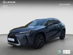 LEXUS UX 250h Business 4WD
