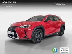 LEXUS UX 250h Business 4WD
