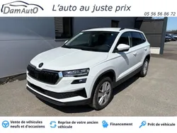 Skoda Karoq 2.0 TDI 150cv DSG Selection