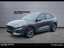 Ford Kuga 1.5 EcoBlue 120ch ST-Line Business BVA