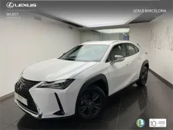 LEXUS UX 250h Business 4WD