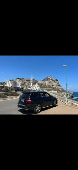 Mercedes-Benz ML 350 ML 350CDI 4M Edición Limitada Aut. Edición Limitad