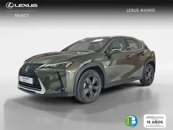 LEXUS UX 250h Business 4WD