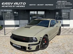Ford mustang roush gt 4.6.v8 425 cv