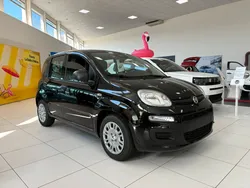 Fiat pandina icone 1.0 firefly 65ch bsg - neuve