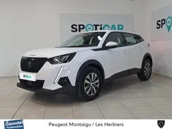 Peugeot 2008 Active Business BlueHDi 110 S&S BVM6