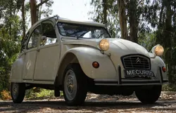 Citroën 2CV 6